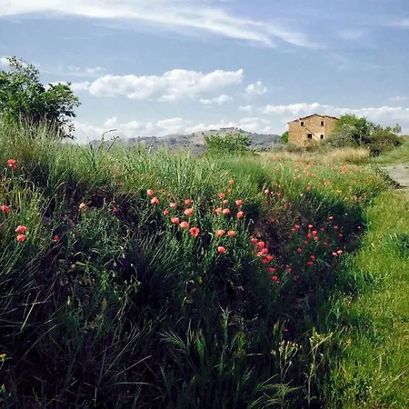 Ca L'ocellet * Rocafort (Catalonia)