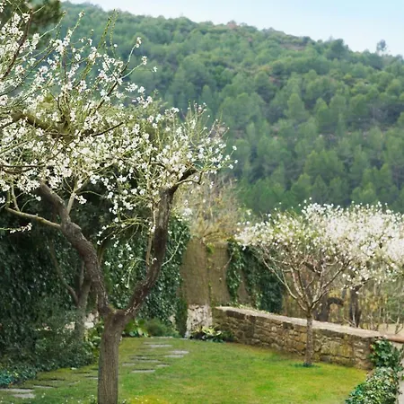 Ca L'ocellet 빌라